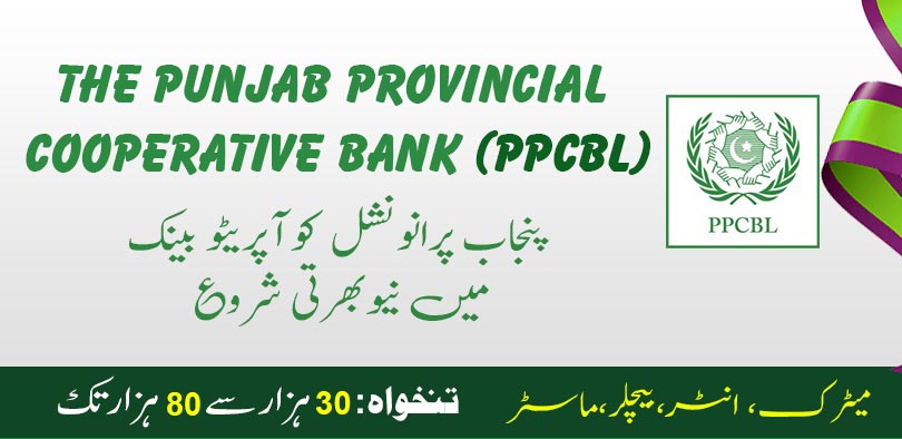 PPCBL Latest Jobs In 2023